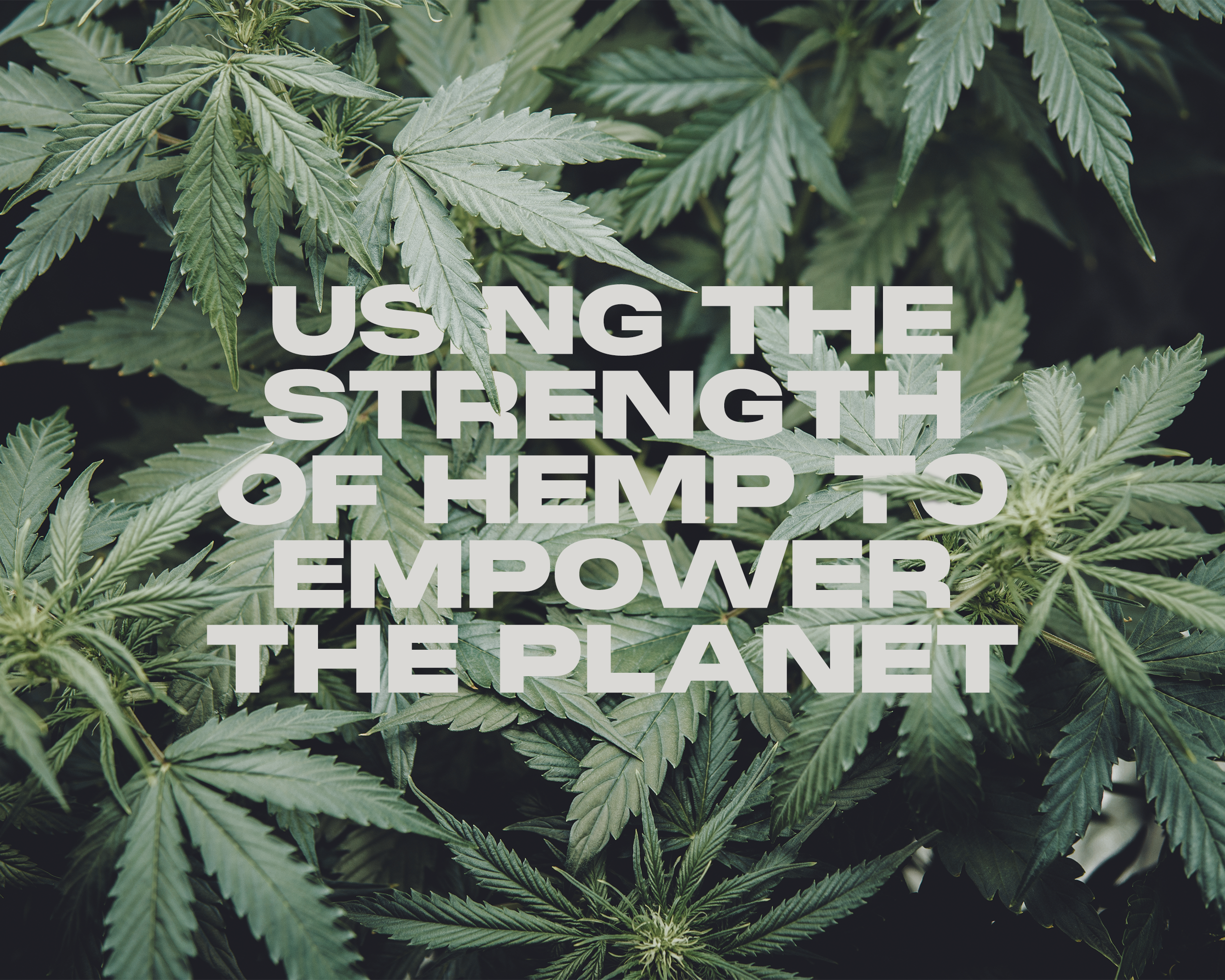 Tagline: Using the power of hemp to empower the planet