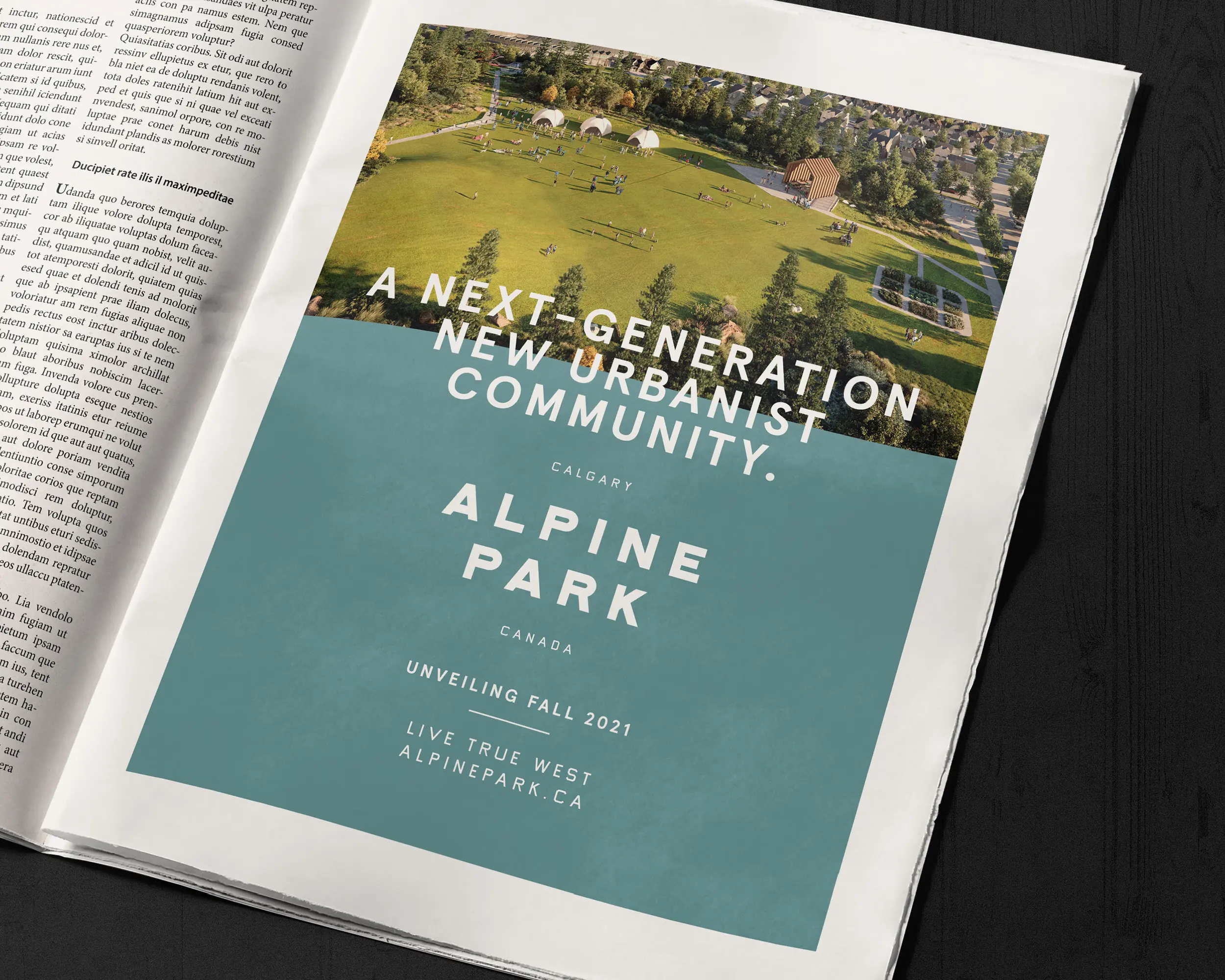 full page Alpine Park ad in newspaper 